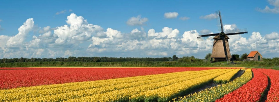 Holland